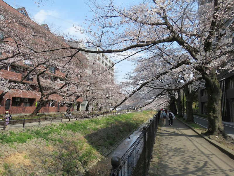 の-の画像