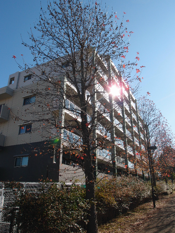の-の画像