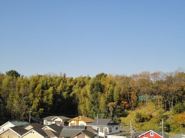 の-の画像