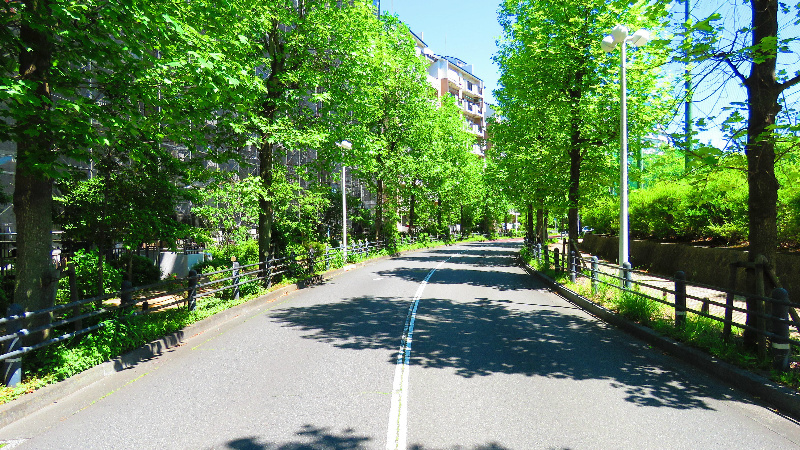 の-の画像