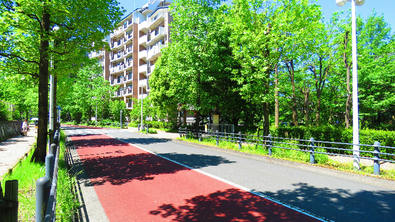 の-の画像