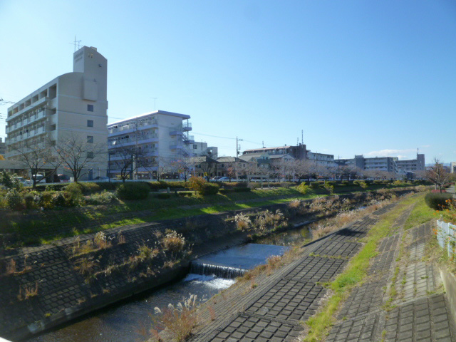 の-の画像