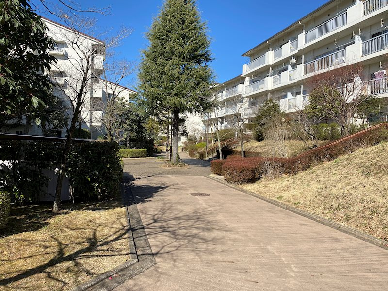 の-の画像