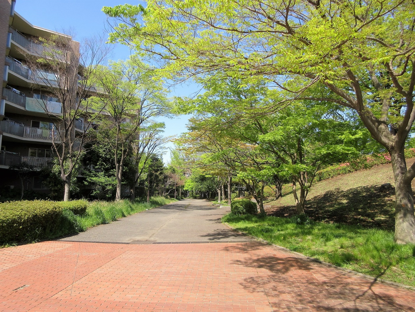 の-の画像