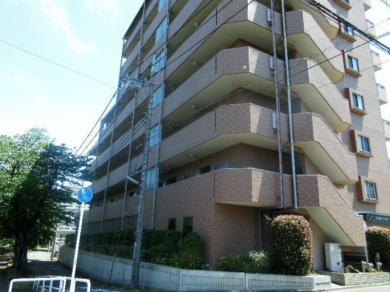の-の画像