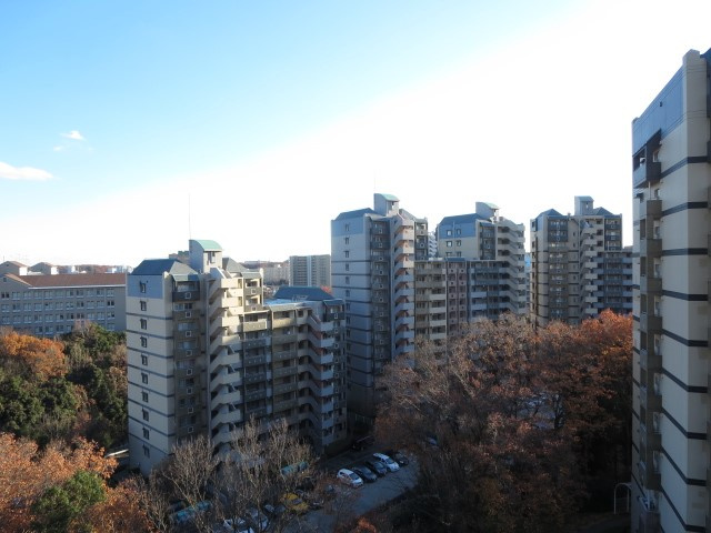 の-の画像