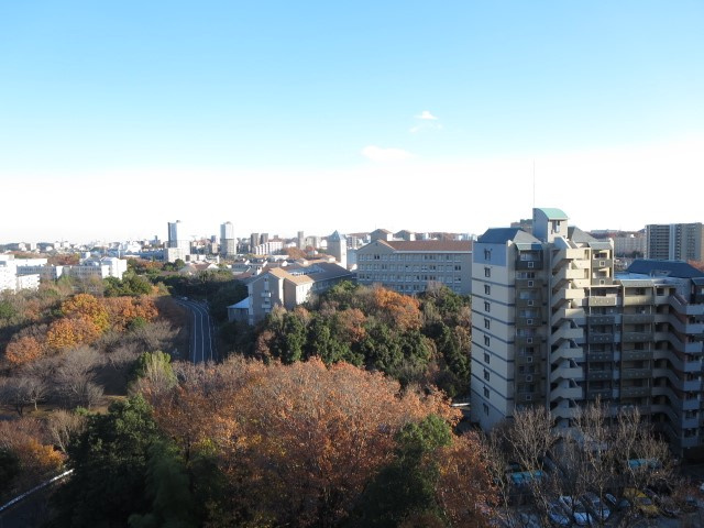の-の画像