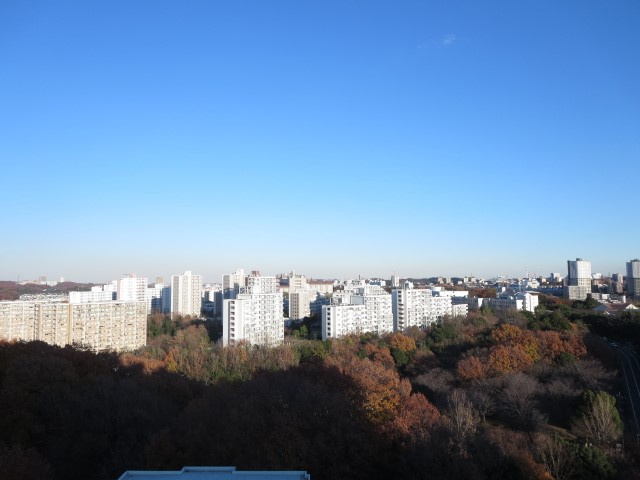 の-の画像