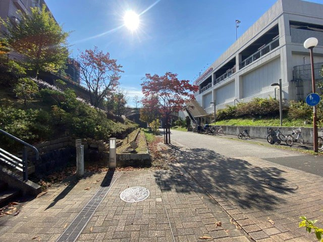 の-の画像