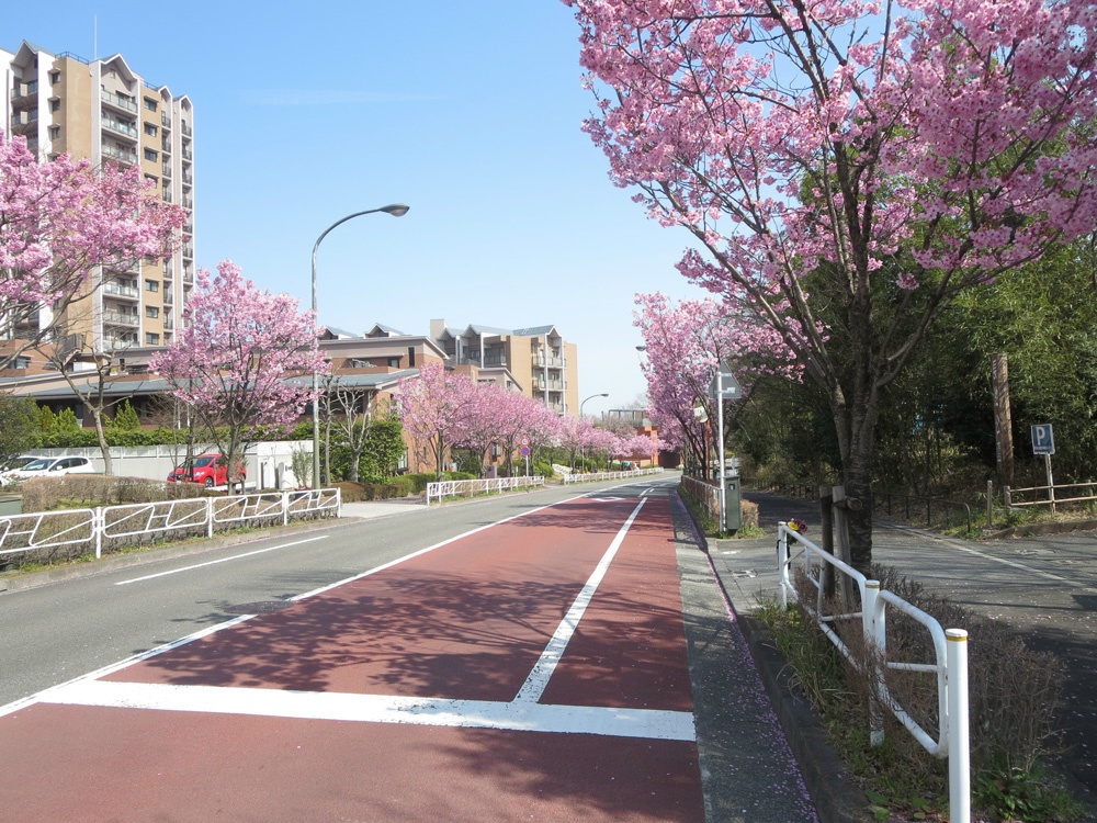 の-の画像