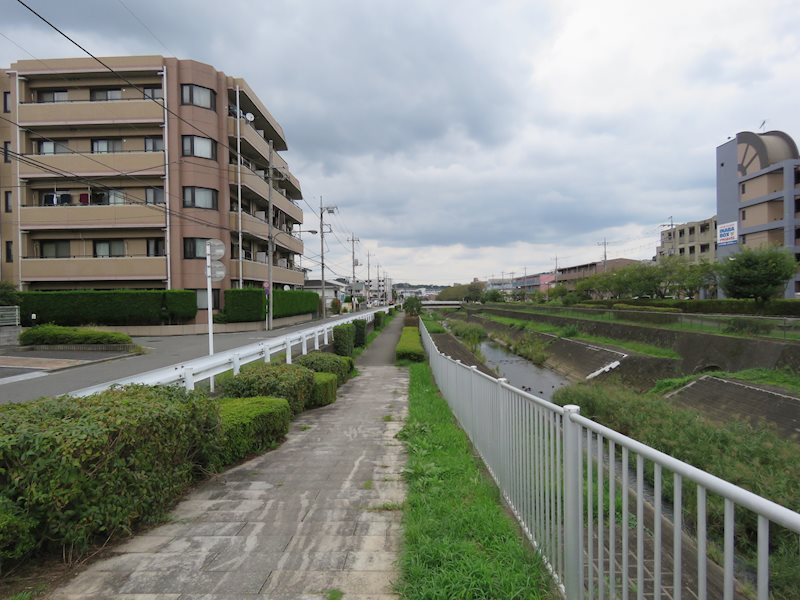 の-の画像