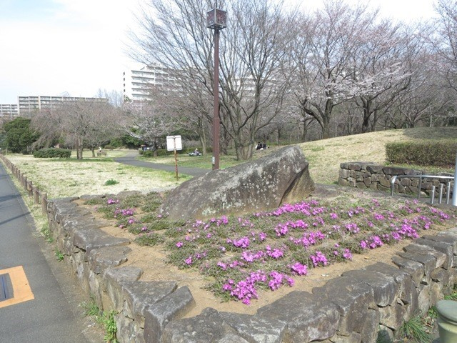 の-の画像
