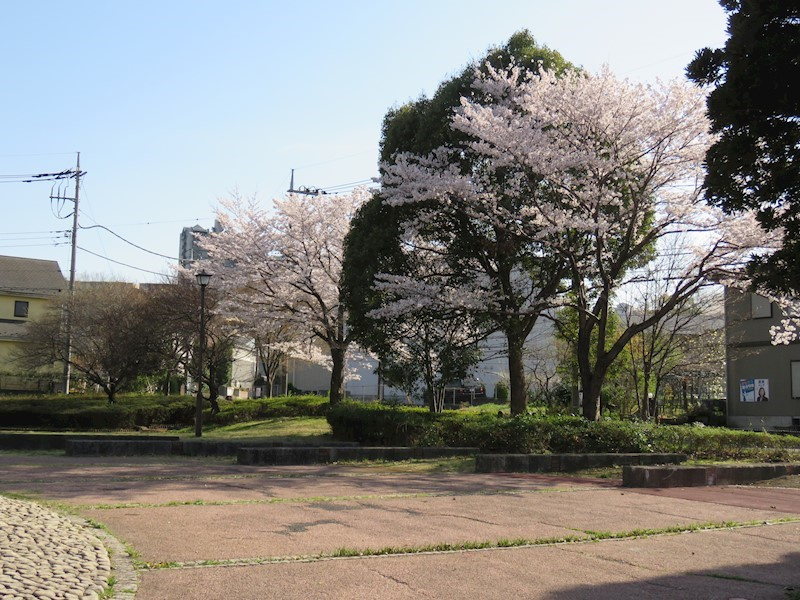 の-の画像