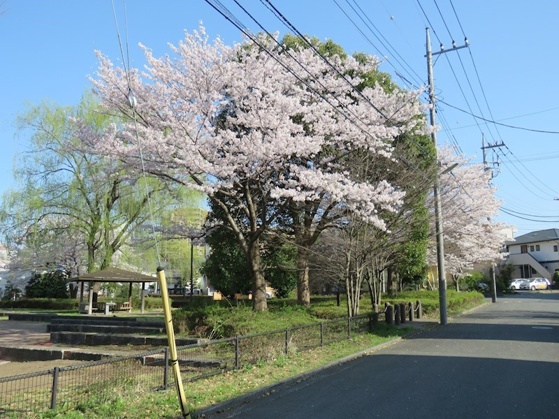の-の画像