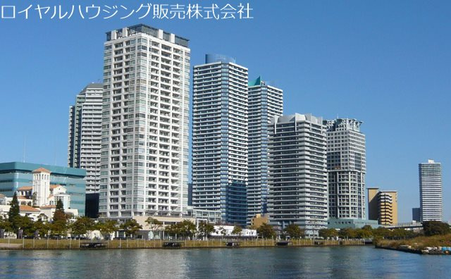 の-の画像