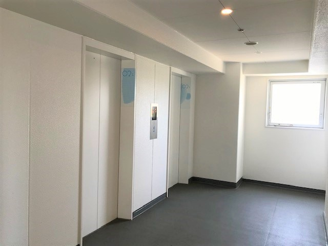 の-の画像