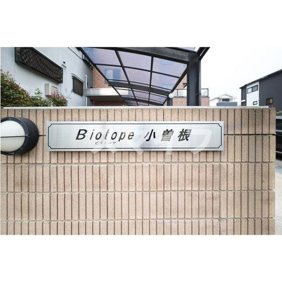 【その他】 | ビオトープ小曽根