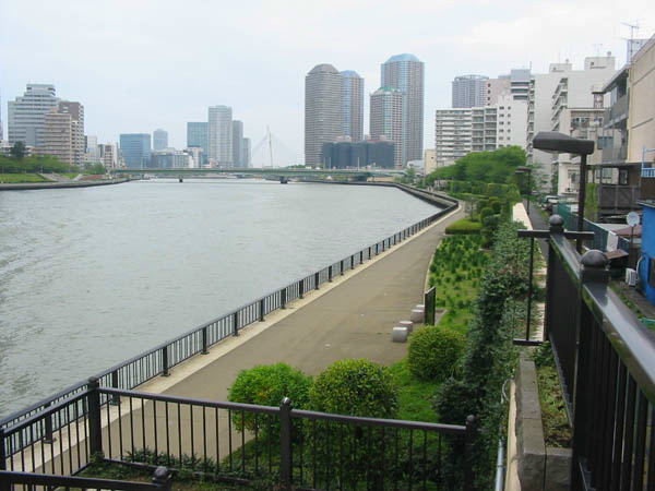 の-の画像