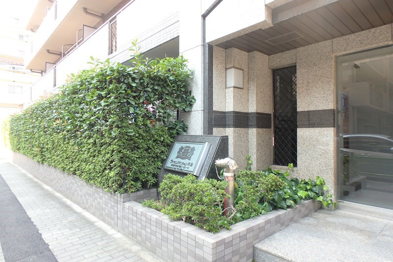 の-の画像