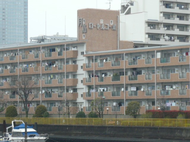 の-の画像