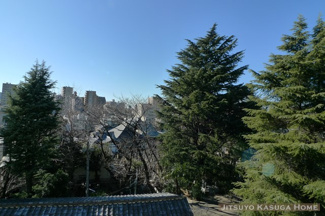 【展望】