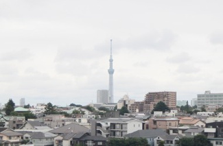【展望】