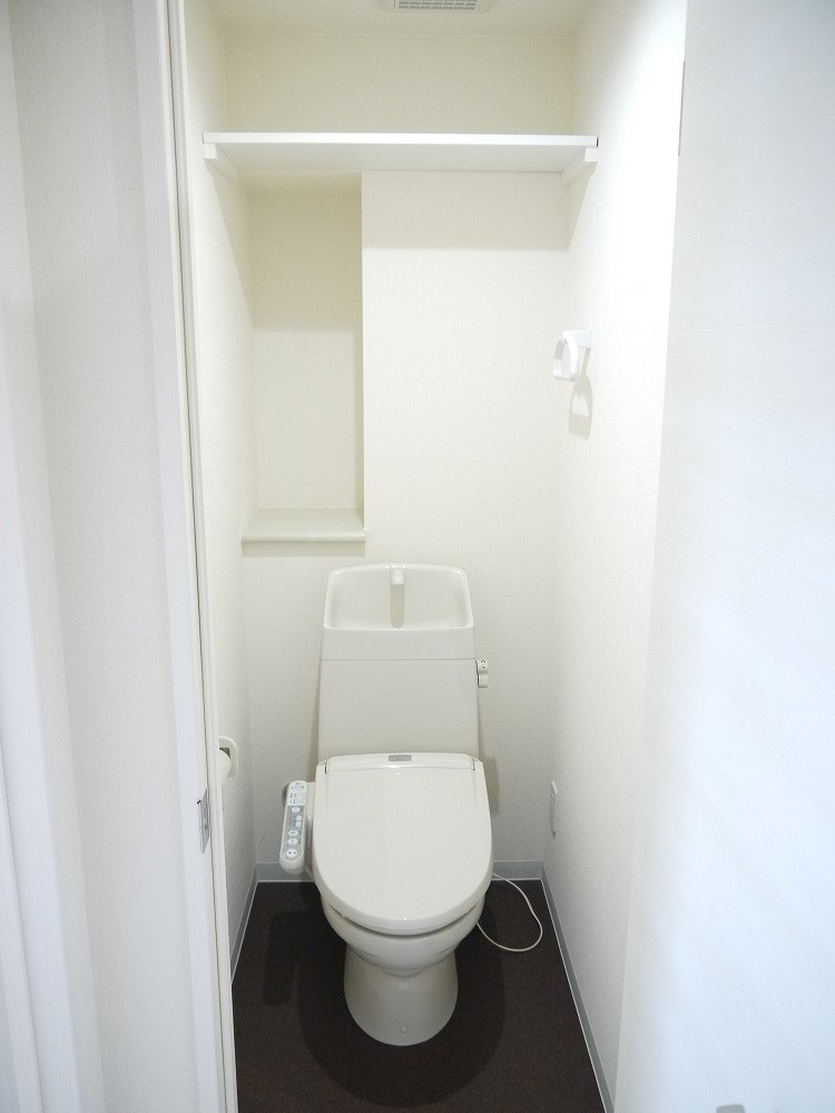 ブルースカイマンションＸのトイレ