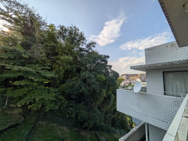 ニューウェルテラス生田の展望