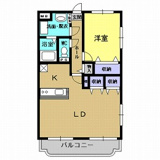 Ｙ＆Ｍアグリザードの画像
