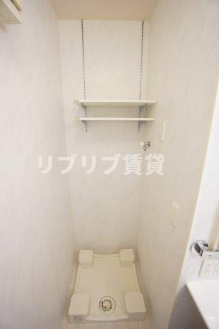 プランドール樹のその他