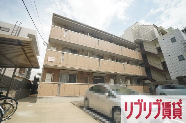 プランドール樹の外観