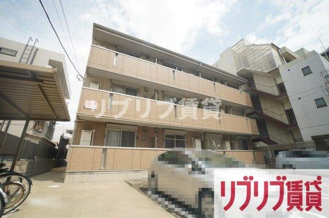 プランドール樹