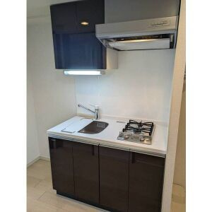 エステムプラザ京都河原町通Ⅱレジデンシャルのキッチン