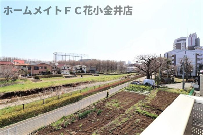 【展望】 | カンパーニュ