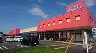 レジリエンス松ケ丘1階の周辺