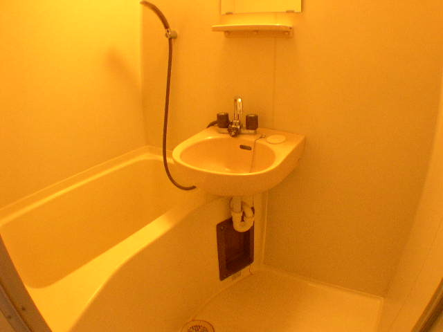 シャトーアンビシャスの浴室