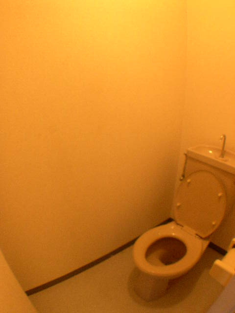 シャトーアンビシャスのトイレ