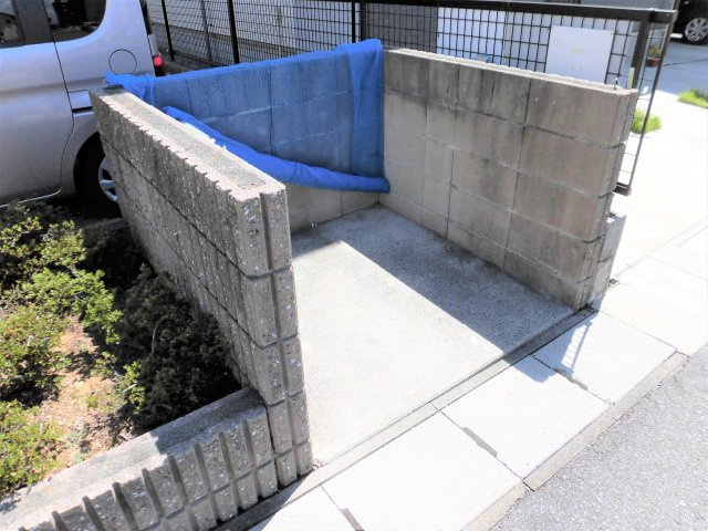 ティアラのその他