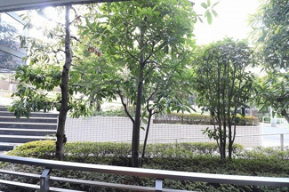 【展望】