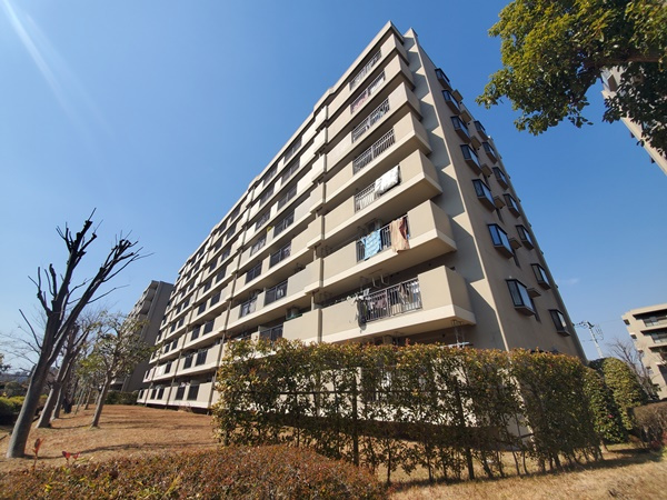 の-の画像