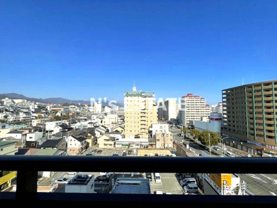 【展望】 | vive la cinq