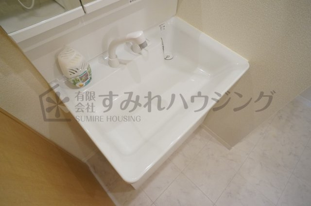 シャーメゾン山本の洗面所