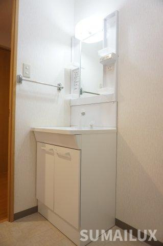 ヴィレッジMtの洗面所