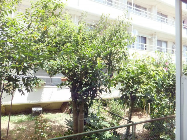 カーサフロール西船の展望