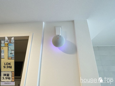 【その他】 | シャーメゾングレイス甲子園 | シャーメゾングレイス甲子園