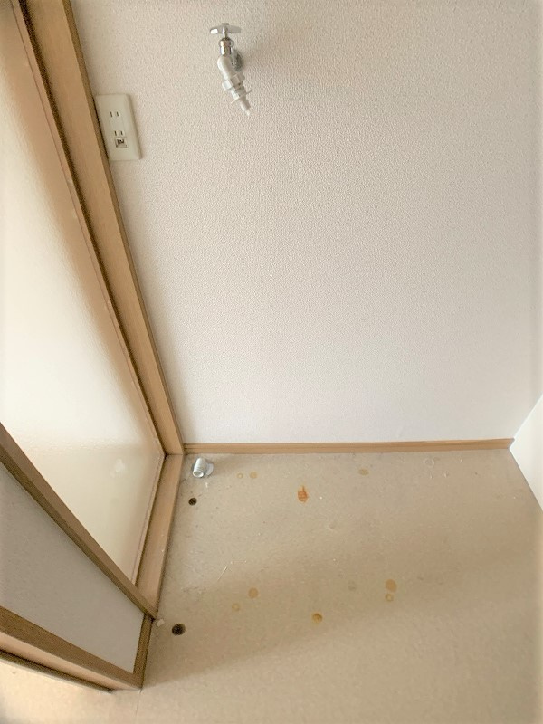 ブエナカーサ上田の洗面所