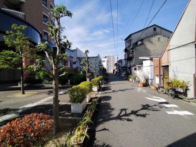 ライオンズガーデン城東の周辺|周辺道路です。