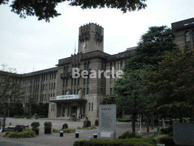 【展望】 | オルティー