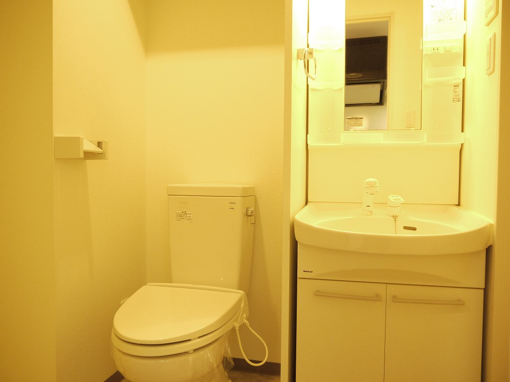 エイムオーエス島崎町マンションの洗面所