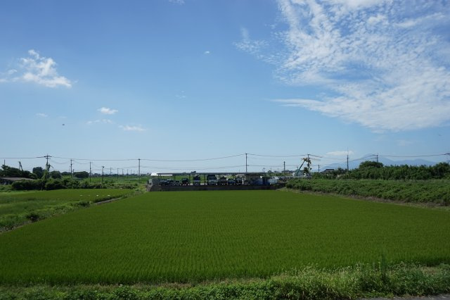 グランツCの展望